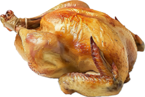 d'or rôti poulet avec Romarin. png