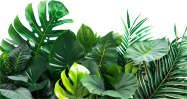assorti tropical vert feuilles fermer. png