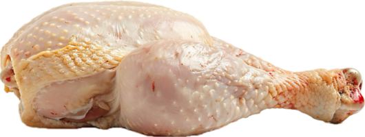 rå kyckling kycklingben med örter. png