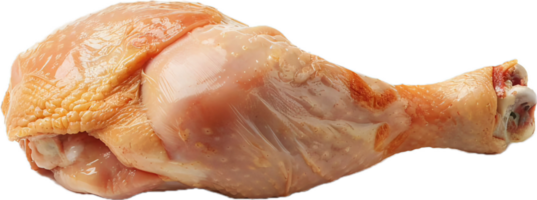 Raw Chicken Drumstick with Herbs. png