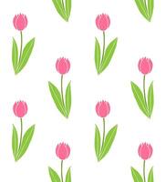 Seamless pattern of sketch pink tulip vector