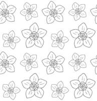 Seamless pattern of forget me not flower vector