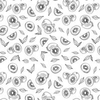 Seamless endless kiwi pattern. Illustration in hand drawn style. Can be used to create packaging, covers, backgrounds, cards, textiles, clothing, souvenirs and much more. vector