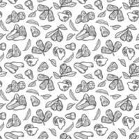 Seamless endless pattern of chompu apple of heaven. Illustration in hand drawn style. Can be used to create packaging, covers, backgrounds, cards, textiles, clothing, souvenirs and much more. vector