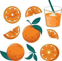 un vibrante conjunto presentando varios naranja rebanadas, todo naranjas, y jugo salpicaduras, Perfecto para valores imágenes con alto comercial apelar. vector