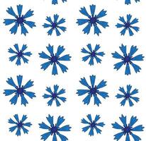 Seamless pattern of hand drawn cornflower vector