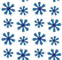 Seamless pattern of hand drawn cornflower vector