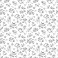 Seamless endless pattern of cannon fruits. Illustration in hand drawn style. Can be used to create packaging, covers, backgrounds, cards, textiles, clothing, souvenirs and much more. vector