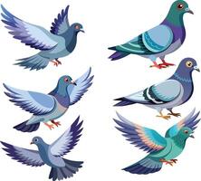 Pigeon birds in various positions and colors- vector