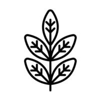 Fenugreek leaves Line Icon Design vector