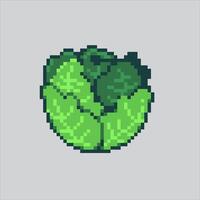 Pixel art illustration Cabbage. Pixelated Cabbage. Cabbage vegetables pixelated for the pixel art game and icon for website and game. old school retro. vector