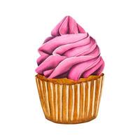 Sweets vanilla cupcake with pink berry cream. Watercolor illustration Valentine's Day or birthday dessert vector