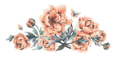 Delicate flowers, buds and leaves of peach and pink peonies with butterflies in a trendy color and vintage style. Hand drawn watercolor illustration. Composition isolated from background vector