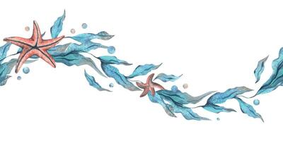 algas marinas en el forma de un ola con estrella de mar y agua burbujas acuarela ilustración mano dibujado en turquesa y coral colores. sin costura borde, modelo aislado desde el antecedentes vector