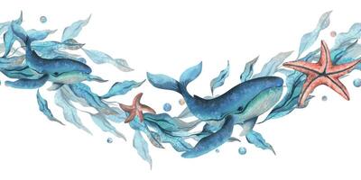 azul ballenas, ola conformado algas marinas con estrella de mar y agua burbujas acuarela ilustración mano dibujado en turquesa y coral colores. sin costura borde, modelo aislado desde antecedentes vector