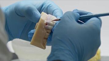 stadier av implantera tänder tillverkning i de dental laboratorium video