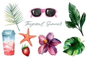 Watercolor tropical set. Hand drawn summertime clipart. Summer elements. Exotic flower. Palm leaves. vector