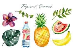 Watercolor summertime clipart. Exotic fruits. Palm leaves. Summer elements. vector