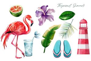 Watercolor tropical set. Hand drawn summertime clipart. Summer elements. Exotic flower. Palm leaves. vector