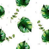 Watercolor pattern with exotic monstera leaves. Seamless botanical pattern. Tropical background. vector