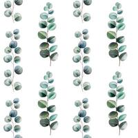 Watercolor eucalyptus pattern. Hand drawn seamless pattern with eucalyptus vector