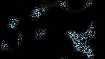 Abstract field particles video