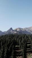 un' Visualizza di un' montagna gamma con alberi nel il primo piano video