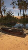 uma barco sentado em topo do uma arenoso de praia video