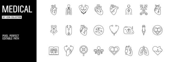 Human Organ Anatomy lung Icons for Medical and Educational symbol vector