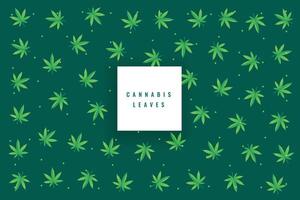 natural marijuana cannabis leaves pattern design background vector