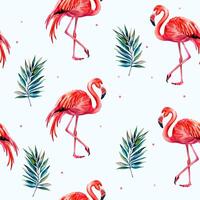 Watercolor flamingo background. Summer seamless pattern with flamingo and leaves. vector