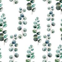 Watercolor eucalyptus pattern. Hand drawn seamless pattern with eucalyptus vector