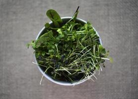 Green salad in a cup on a burlap cloth. Herbal salad on a yellow background. photo