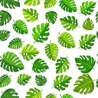 seamless pattern of vibrant green leaves on a white background. Various leaf shapes and sizes create a fresh, natural, and tropical appearance, perfect for eco-friendly or botanical projects vector