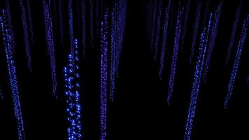Immersive display showcasing a digital matrix code illuminated by blue and purple lights video