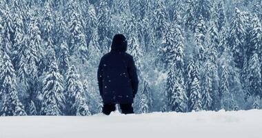 Hiker Walking in Deep Snow Outdoors in Forest Landscape video