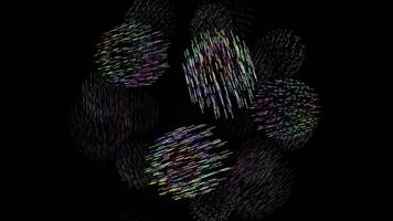 Colorful lines fly in air on black background, creating a vibrant pattern video