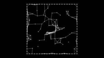 dinâmico rede linhas animação abstrato geométrico padrões e moderno tecnologia video