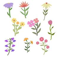 conjunto de flores dibujadas a mano vector