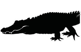 Crocodile and alligator silhouette, Alligator straight tail silhouette vector