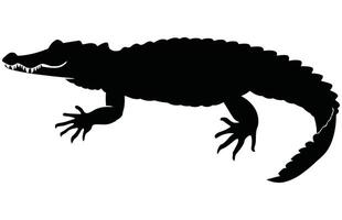 Crocodile and alligator silhouette, Alligator straight tail silhouette vector