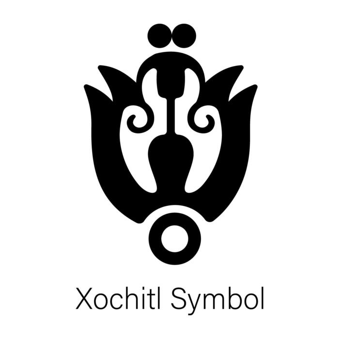 mochita(=^x^=)♪♪♪♪ 1168450-BCKT-1.jpg?v=