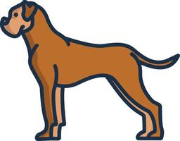 Boxer short linear color illustration vector