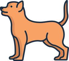 Chihuahua dog linear color illustration vector