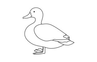duck Continuous single one line art drawing vector