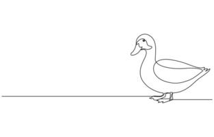 duck Continuous single one line art drawing vector
