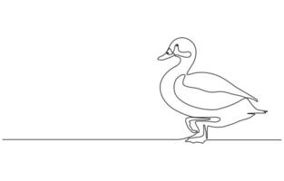 duck Continuous single one line art drawing vector