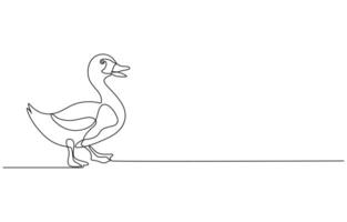 duck Continuous single one line art drawing vector
