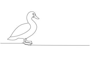 duck Continuous single one line art drawing vector