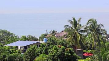 View of the Pacific Ocean and tropical jungle panorama Mexico. video